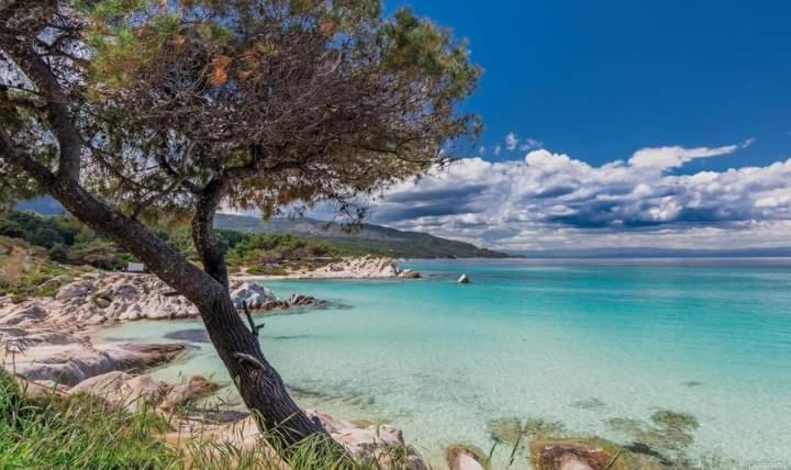 Apartmenthotel Sithon Σάρτη Εξωτερικό φωτογραφία