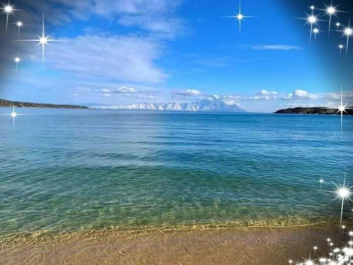 Apartmenthotel Sithon Σάρτη Εξωτερικό φωτογραφία