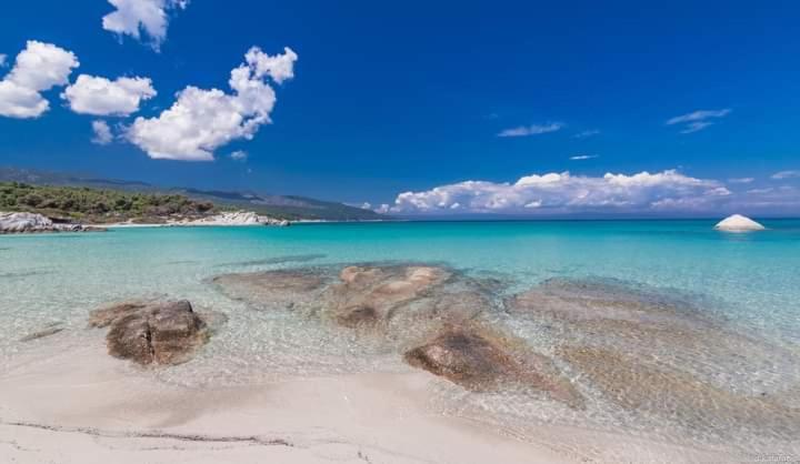 Apartmenthotel Sithon Σάρτη Εξωτερικό φωτογραφία
